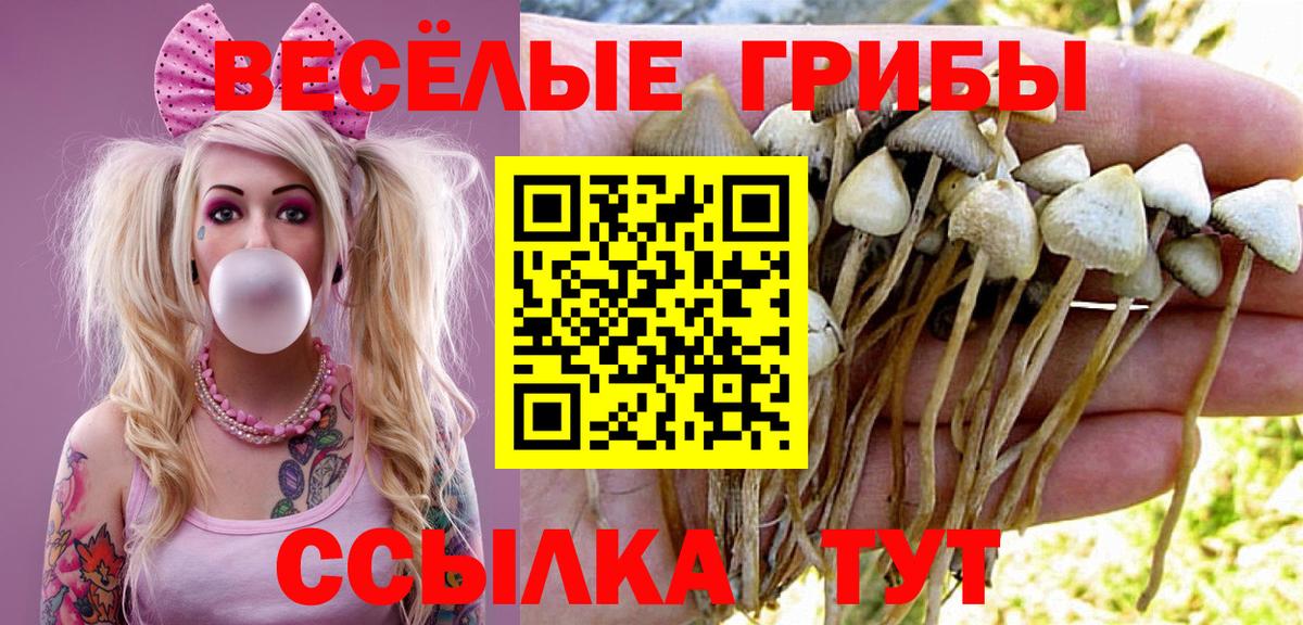 Галлюциногенные грибы MAGIC MUSHROOMS Борзя
